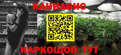 стафф Кулебаки