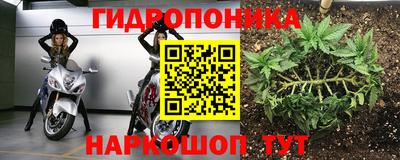 стафф Кулебаки