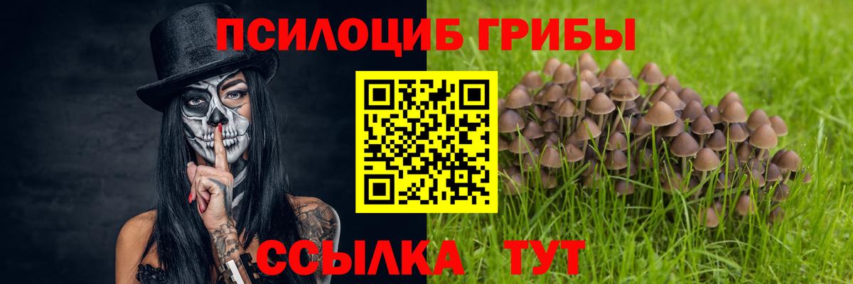 Галлюциногенные грибы мухоморы Железноводск